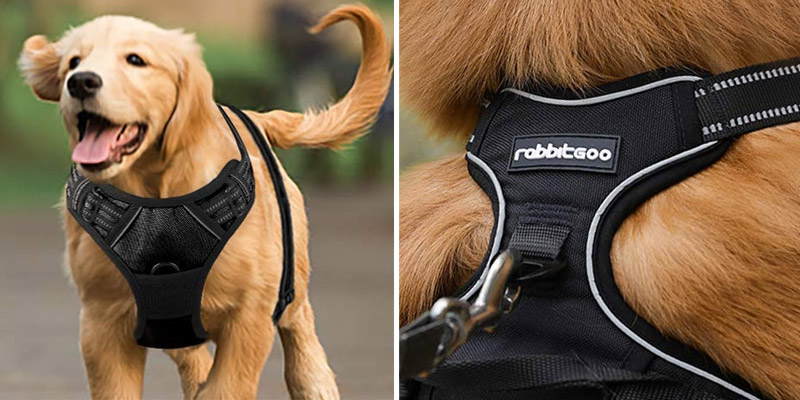 Review of Rabbitgoo DTCW006S No Pull Dog Harness