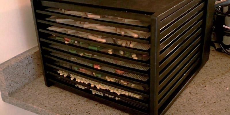 Review of Excalibur 9 Tray 3926TB Food Dehydrator