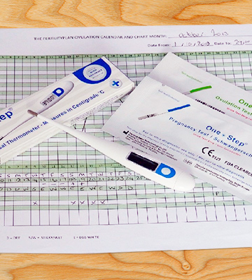 One Step Fertility Pack Digital Basal Thermometer + 10 Ovulation & 10 Pregnancy tests - Bestadvisor
