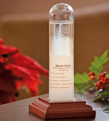 Bits and Pieces Admiral Fitzroy's Storm Glass Weather Station - Bestadvisor