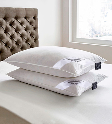 Adam Home Pack of 2, Standard Size Duck Feather and Down Pillows - Bestadvisor