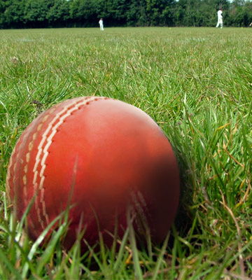 Gray Nicolls 541704 Hurricane Cricket Ball - Bestadvisor