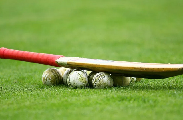 Best Cricket Bats to Help Your Kid Fall in Love With the Game  