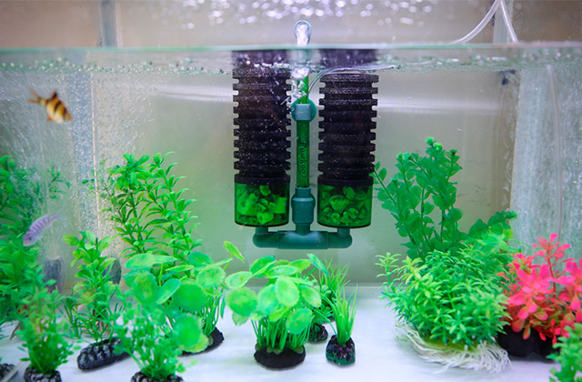 Best Aquarium & Fish Tank Filters  