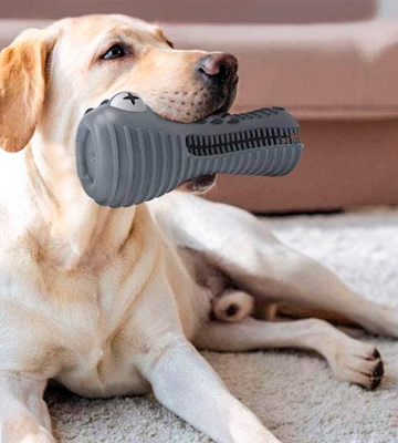 HETOO Indestructible Dog Chew Toys - Bestadvisor
