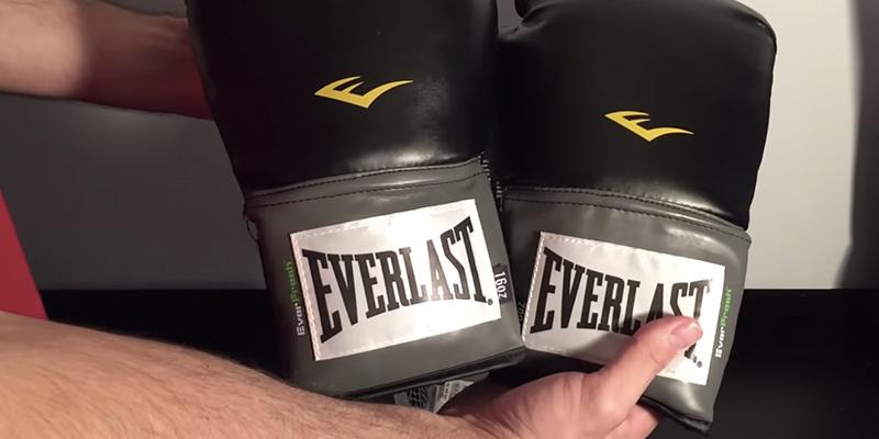 Review of Everlast Pro Style Training Gloves