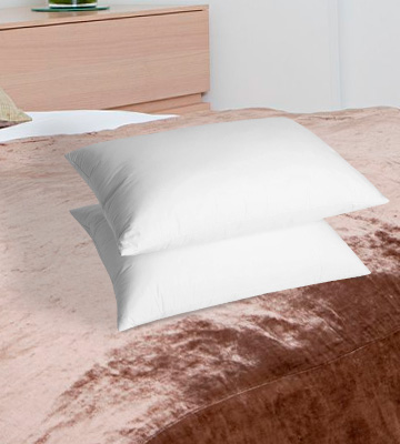UMI Essentials Pack of Two White Goose Feather Pillows - Bestadvisor