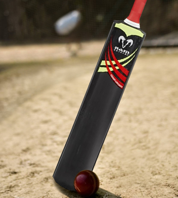 RAM 3299 Crazy Cricket Bats - Bestadvisor