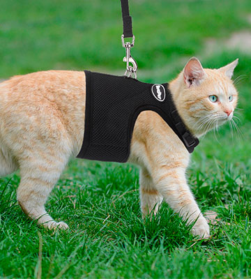 BINGPET Adjustable Soft Mesh Cat Harness and Leash - Bestadvisor