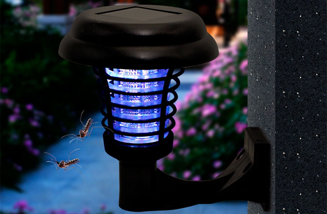 Comparison of Outdoor Bug Zappers