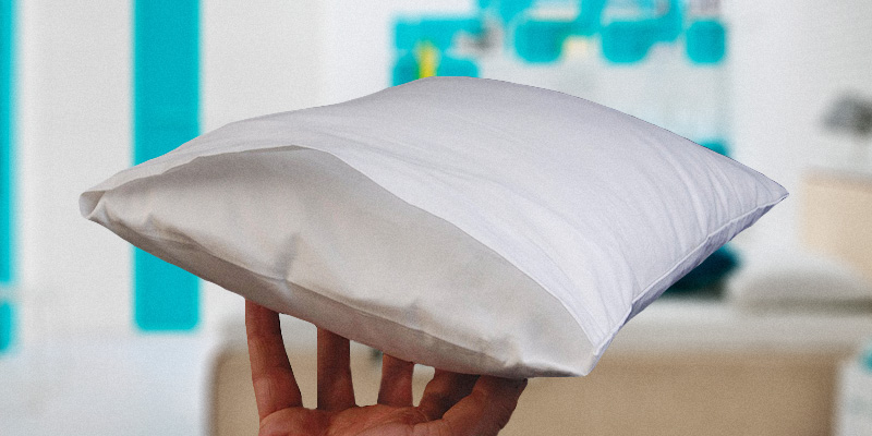 Review of Proheeder CU-TodlerPillow-01 "My First Pillow", Anti-Allergy Filing, 100% Cotton