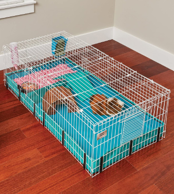 Review of MidWest Homes for Pets Habitat Plus Guinea Cage
