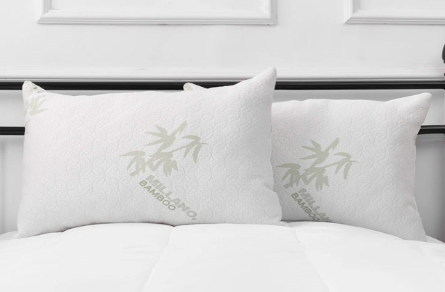Best Bamboo Pillows  
