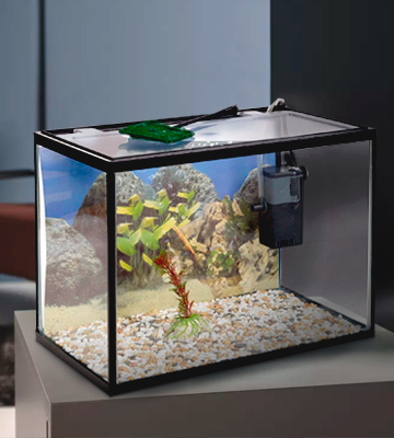 Review of URBNLIVING 18L Aquarium Starter Kit