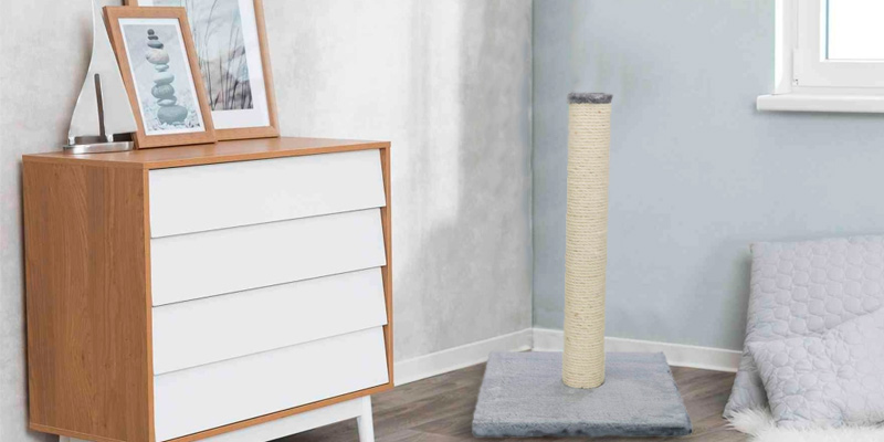 Review of TRIXIE Pet Products 62 cm Parla scratching post