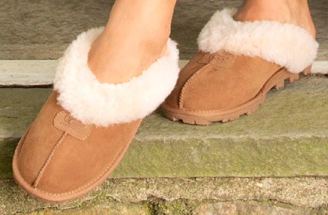 Comparison of Slippers for Women