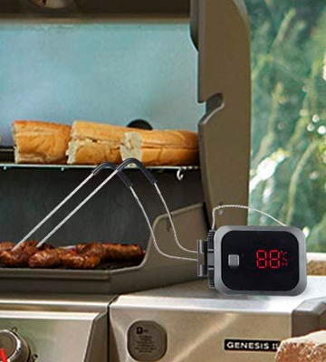 Review of Inkbird IBT-2X Bluetooth Cooking Thermometer