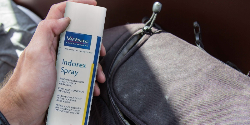 Review of Virbac Indorex Defence Household Flea Spray