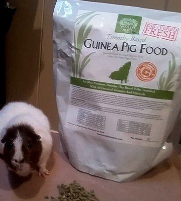 Review of Small Pet Select 5-Pound Guinea Pig Food Pellets