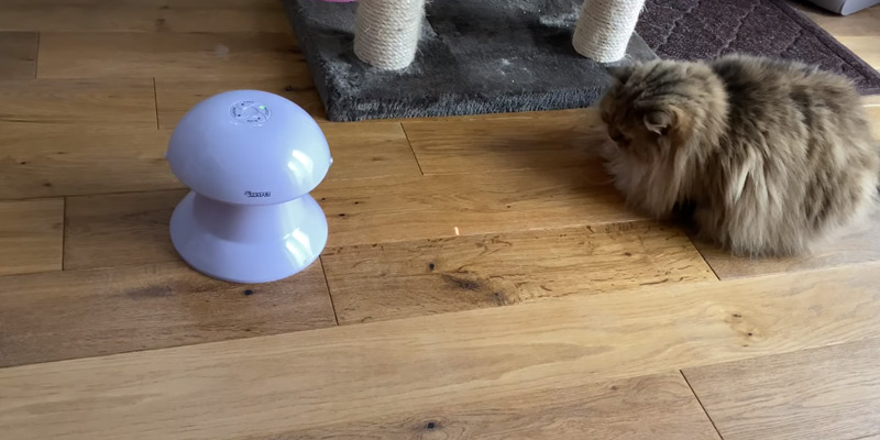 Review of DADYPET Cat Laser Toy Cat Interactive Toys
