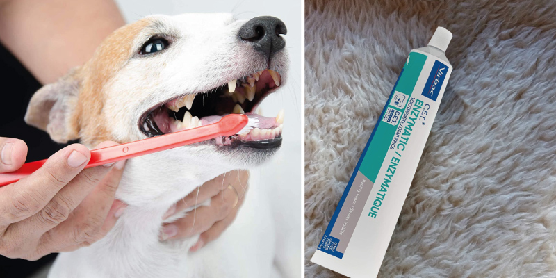 Review of Virbac Poultry Flavor CET Enzymatic Dental Care Toothpaste