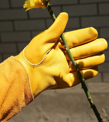 Review of Acdyion Long Gardening Gloves for Women/Men