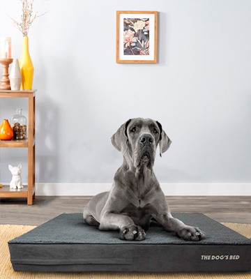 Review of The Dog's Balls Orthopaedic Extra Large Indestructible Dog Bed