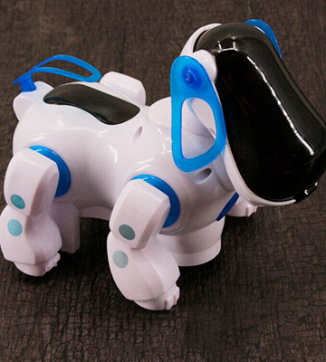 Review of NMIT Childrens Puppy Robot Dog
