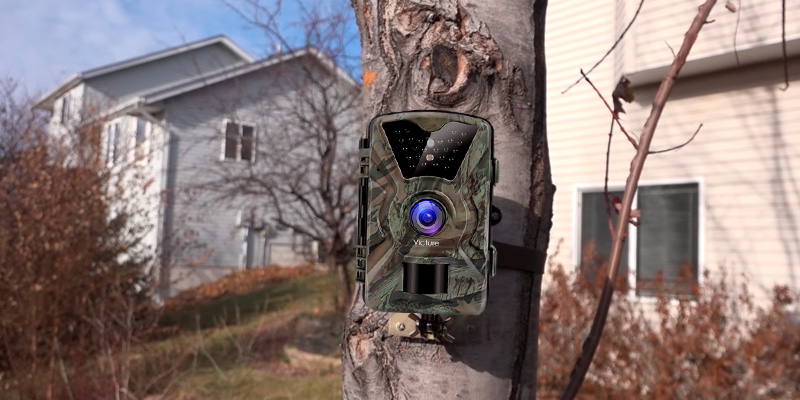 Review of Victure HC200 1080P Wildlife Trail Camera with Infrared Night Vision