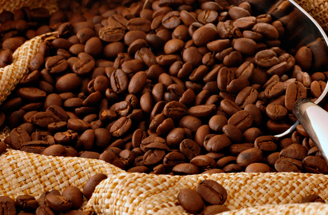 Best Coffee Beans  