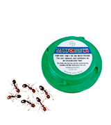 Maxforce Bayer LN Indoor/Outdoor Ant Bait Station