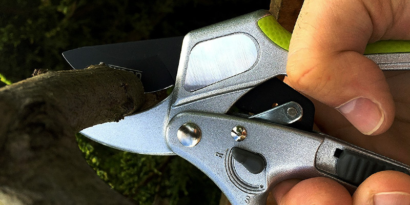 Review of Davaon DN-3130-3B 2 in 1 Ratchet Secateurs