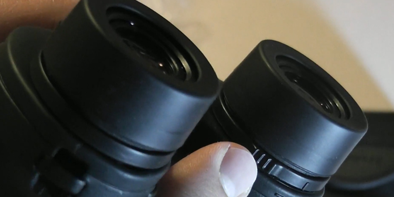Nikon Travelite EX 8x25 Binoculars in the use