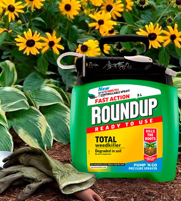 Roundup Total (Pump N Go) Weed Killer - Bestadvisor