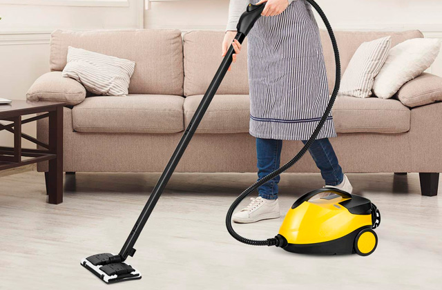 Best Steam Cleaners  