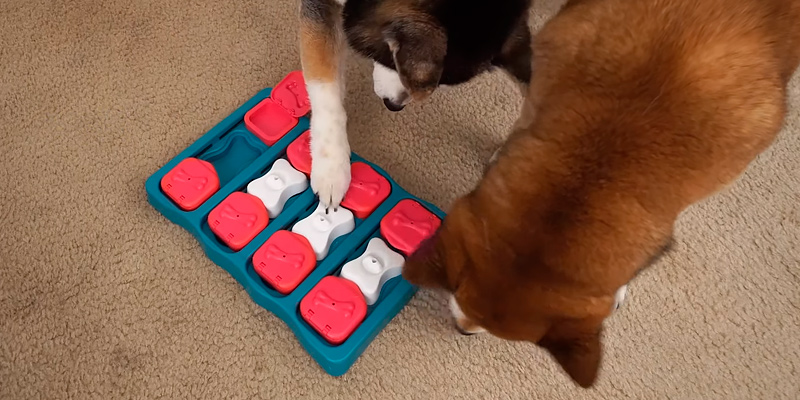 Review of Outward Hound Brick Interactive Treat Puzzle Dog Toy
