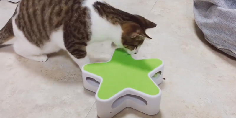 Review of Nice Dream Interactive Cat Toy Pentagram Box Electronic Cat Toy