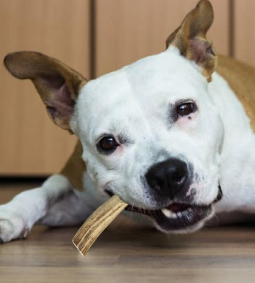 Review of The Regal Mutt Antler Puppy Chews