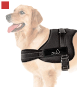 Lifepul LPDBH160525-B3 No Pull Dog Vest Harness