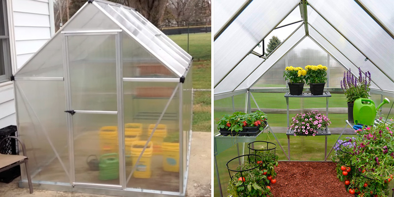 Review of Palram Mythos 6x8 ft Greenhouse