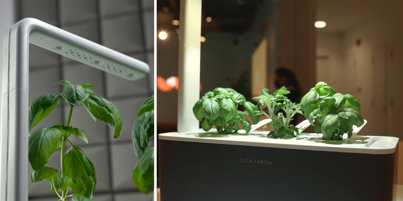 Review of Click & Grow SGS8UNI Indoor Herb Garden Kit with Grow Light