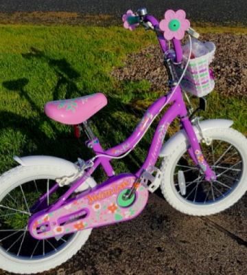 Review of Schwinn Girls' Jasmine Kids Bike