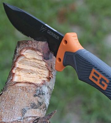 Review of Gerber Bear Grylls Sheath Serrated Edge Folding Knife