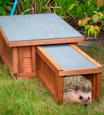 Review of The Hutch Company Deluxe Ventilated Predator Proof Hedgehog House