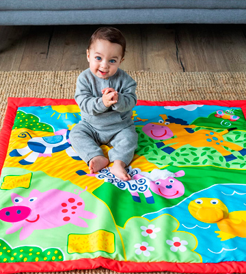 Review of Galt Toys, Inc. Wool Large Playmat