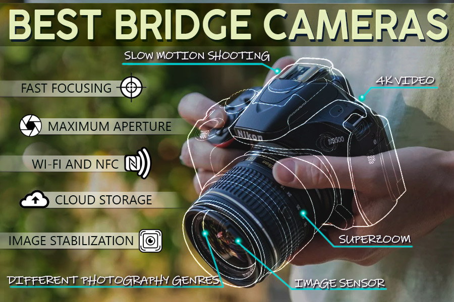 Comparison of Bridge Cameras to Take Your Best Shots