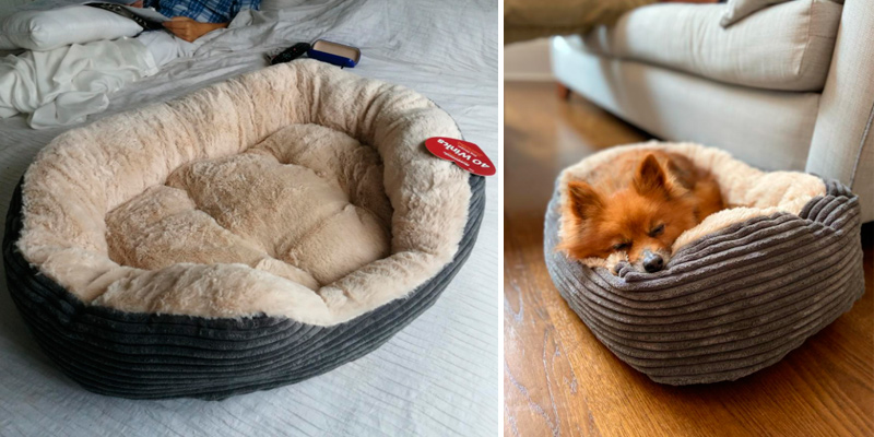 Rosewood Jumbo Cord/Plush Dog Bed in the use