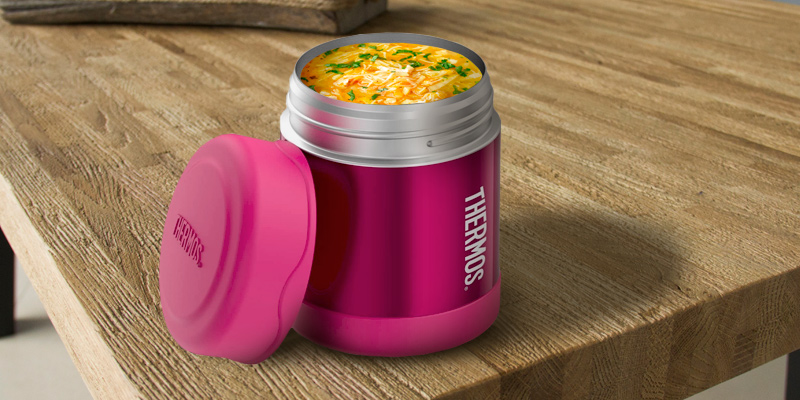 Review of Thermos 056895 FUNtainer Food Flask, Pink, 290 ml