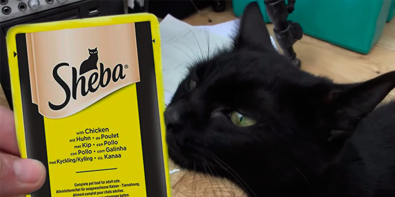 Review of Sheba Fine Flakes in Jelly Wet Cat Food Pouches for Adult Cats