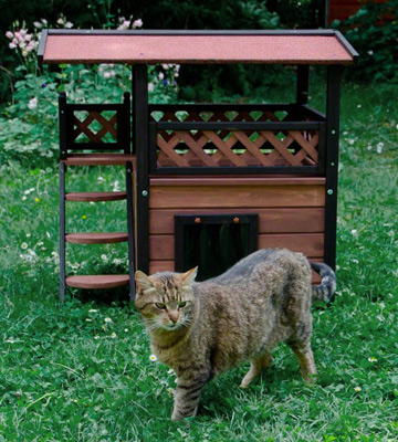 Review of Cat Den Maisonette Cat House